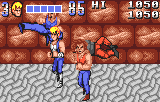 Double Dragon